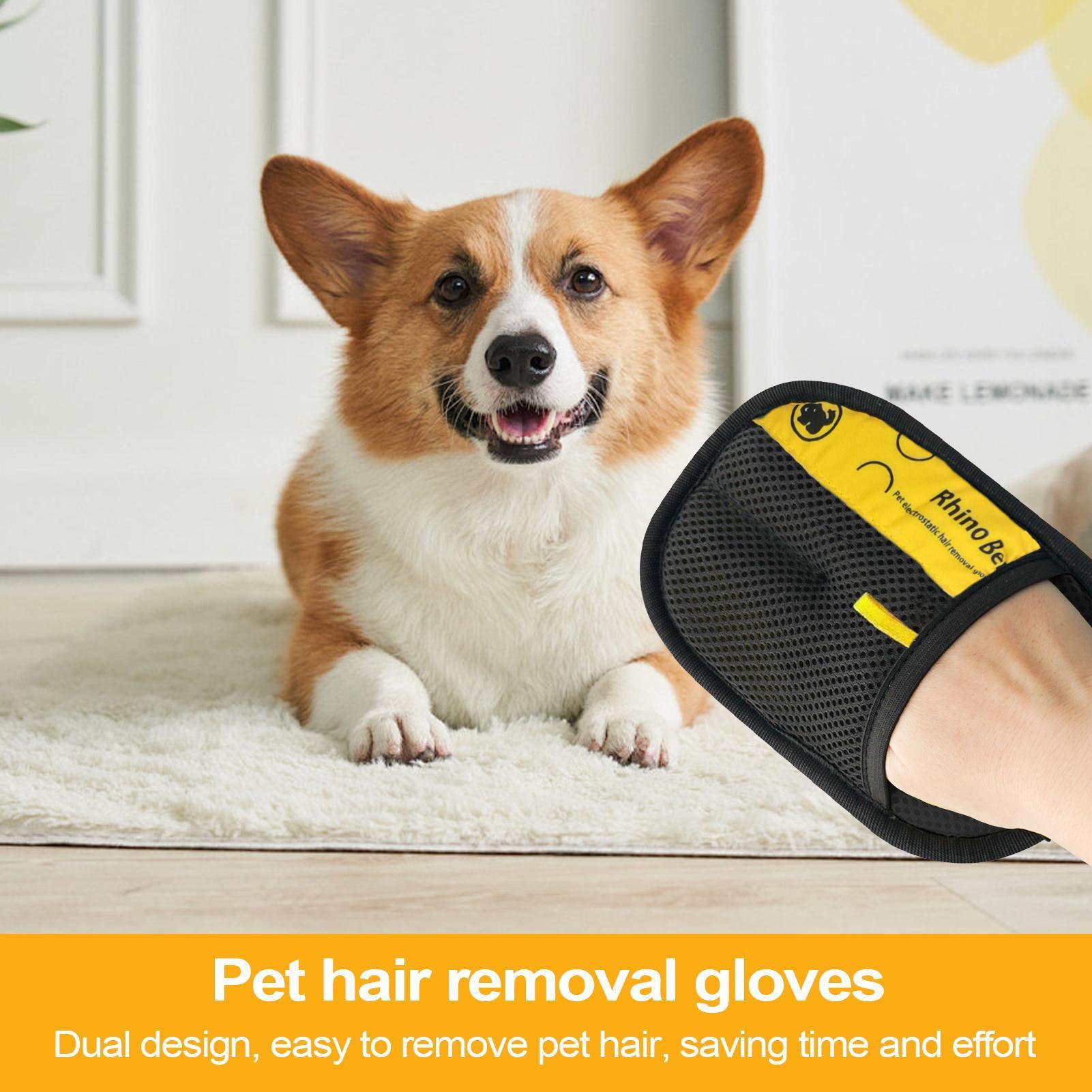 2pcs Cat Grooming Gloves Elect - Pet Hair Remover Brush บทวิจารณ์และราคา