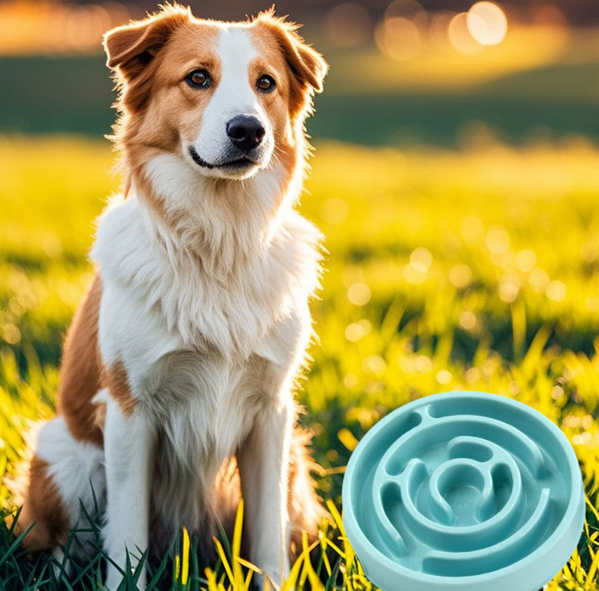 Slow Feeder Dog Bowl - Non-Sli - Slow Feeder Dog Bowl บทวิจารณ์และราคา
