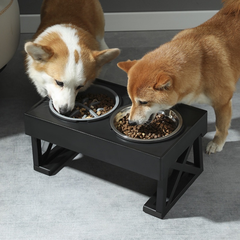 Slow Feeder Dog Bowl Improve D - Slow Feeder Dog Bowl บทวิจารณ์และราคา