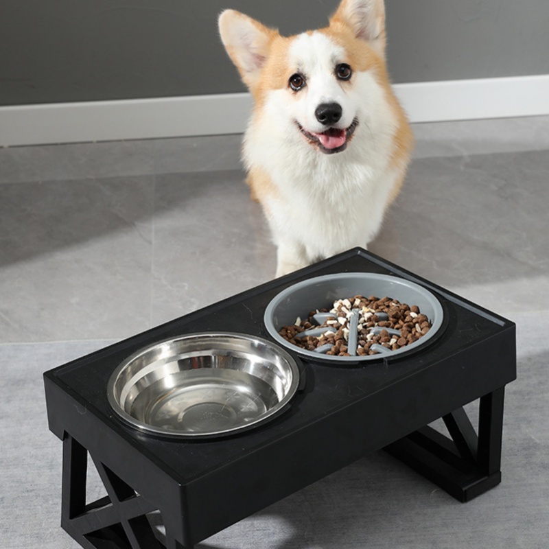 Slow Feeder Dog Bowl Improve D - Slow Feeder Dog Bowl บทวิจารณ์และราคา