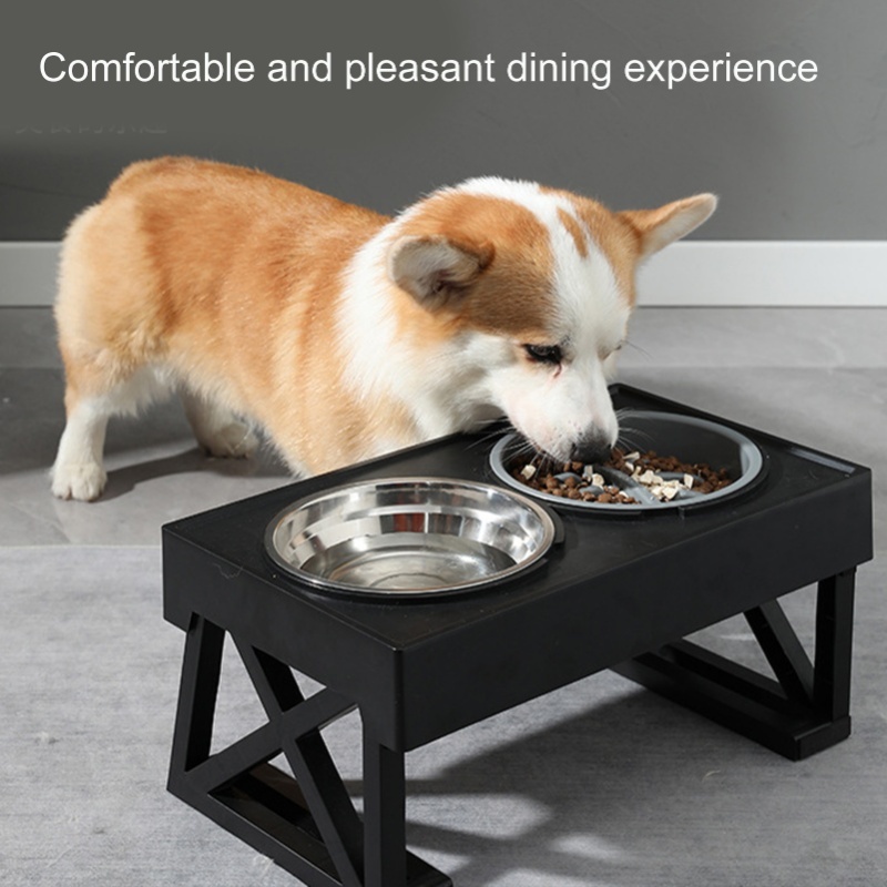 Slow Feeder Dog Bowl Improve D - Slow Feeder Dog Bowl บทวิจารณ์และราคา
