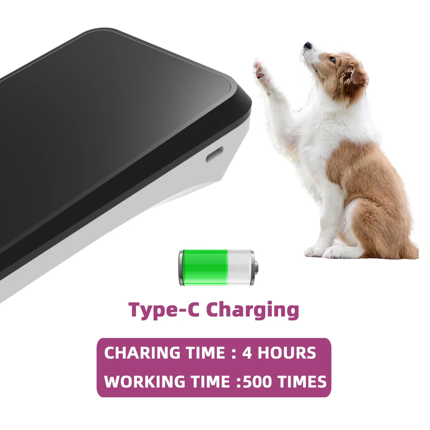 Pepultech Vet Health Care Pet  - Pet Supplies Delivery บทวิจารณ์และราคา