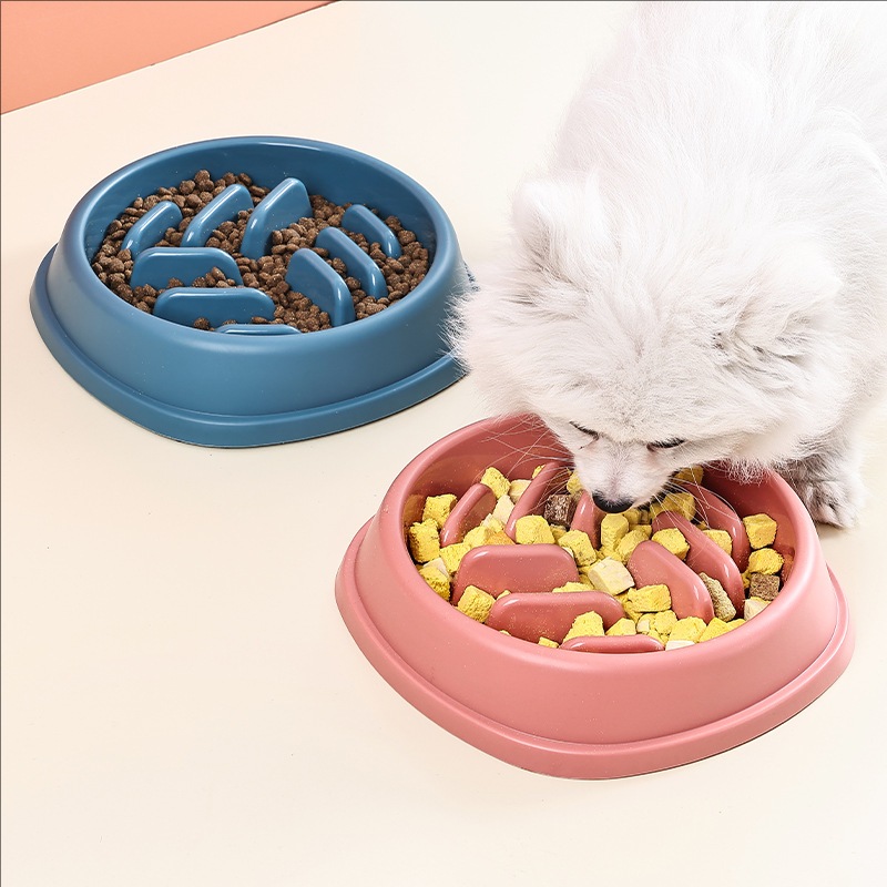 Pet Supplies Dogs and Cats Slo - Slow Feeder Dog Bowl บทวิจารณ์และราคา