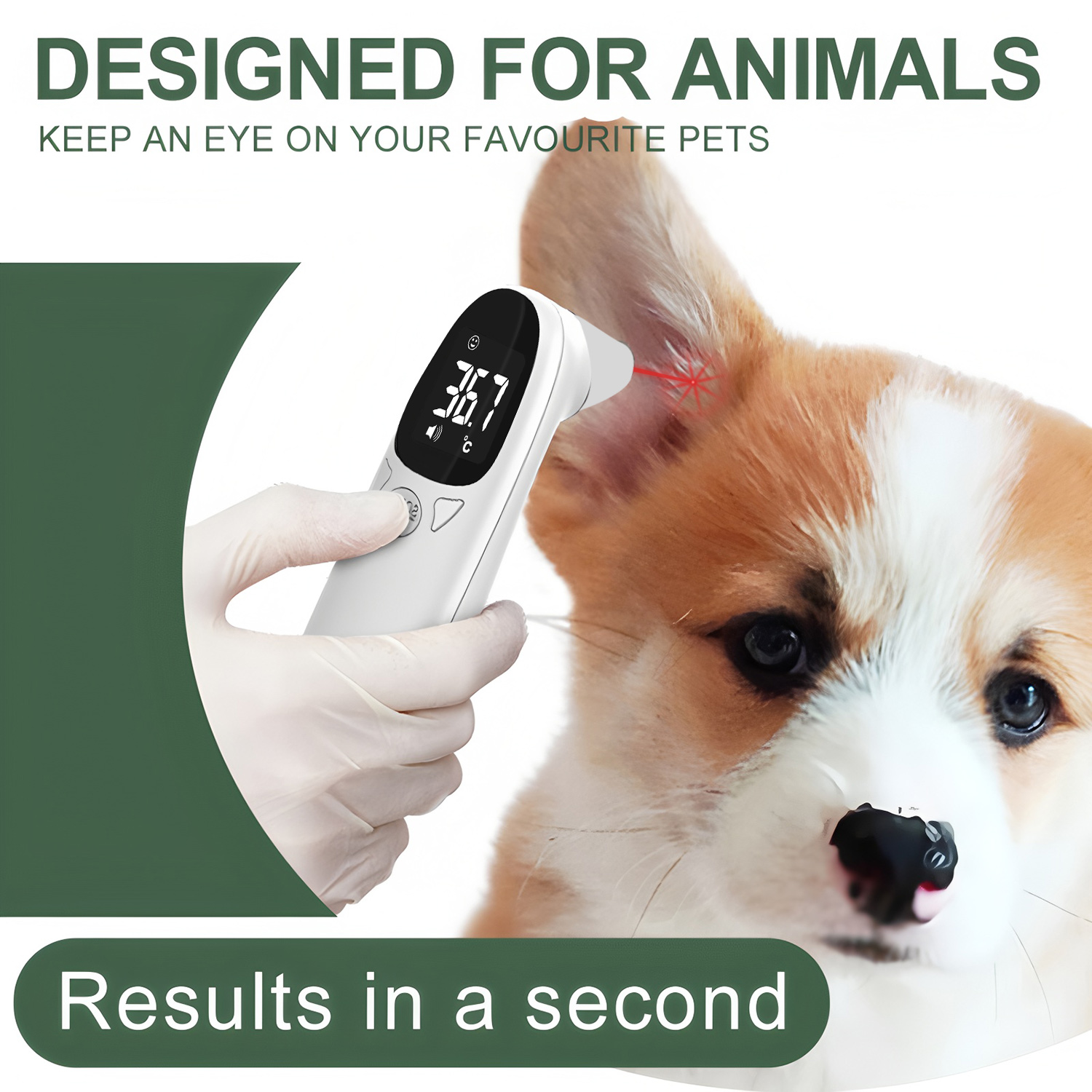 Pet Ear Digital Thermometer No - Pet Supplies Warehouse บทวิจารณ์และราคา