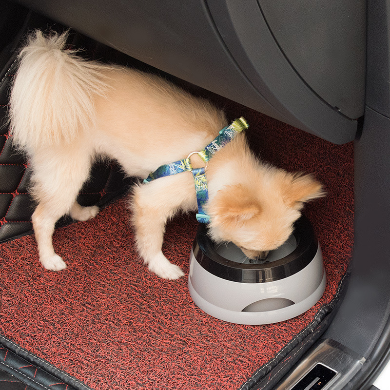 Can be Used on the Car Pet Dog - Slow Feeder Dog Bowl บทวิจารณ์และราคา