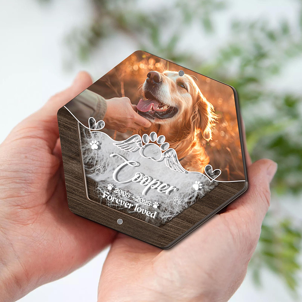 Personalized Name Wooden Carvi - Pet Supplies Warehouse บทวิจารณ์และราคา