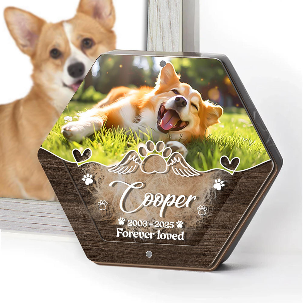 Personalized Name Wooden Carvi - Pet Supplies Warehouse บทวิจารณ์และราคา