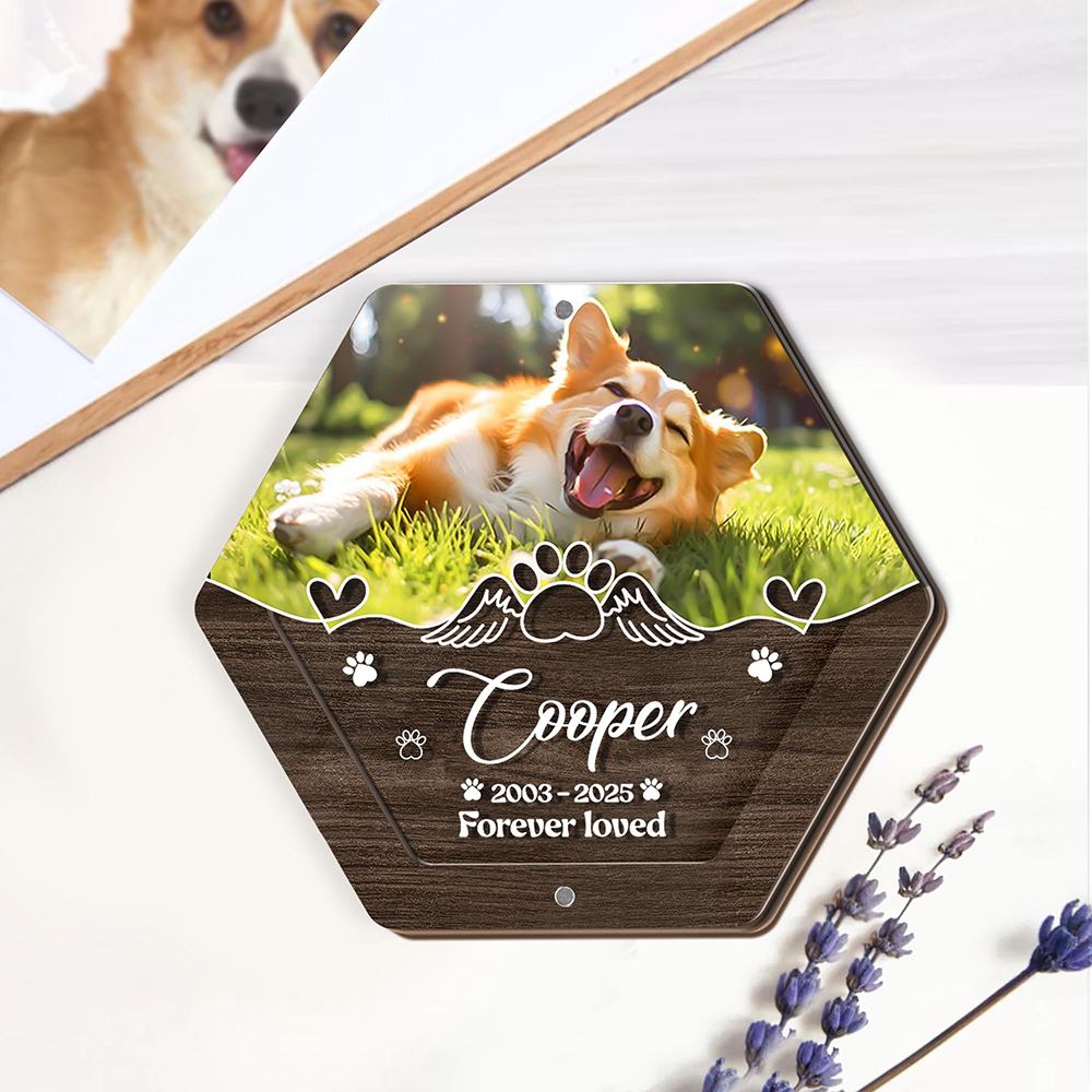 Personalized Name Wooden Carvi - Pet Supplies Warehouse บทวิจารณ์และราคา