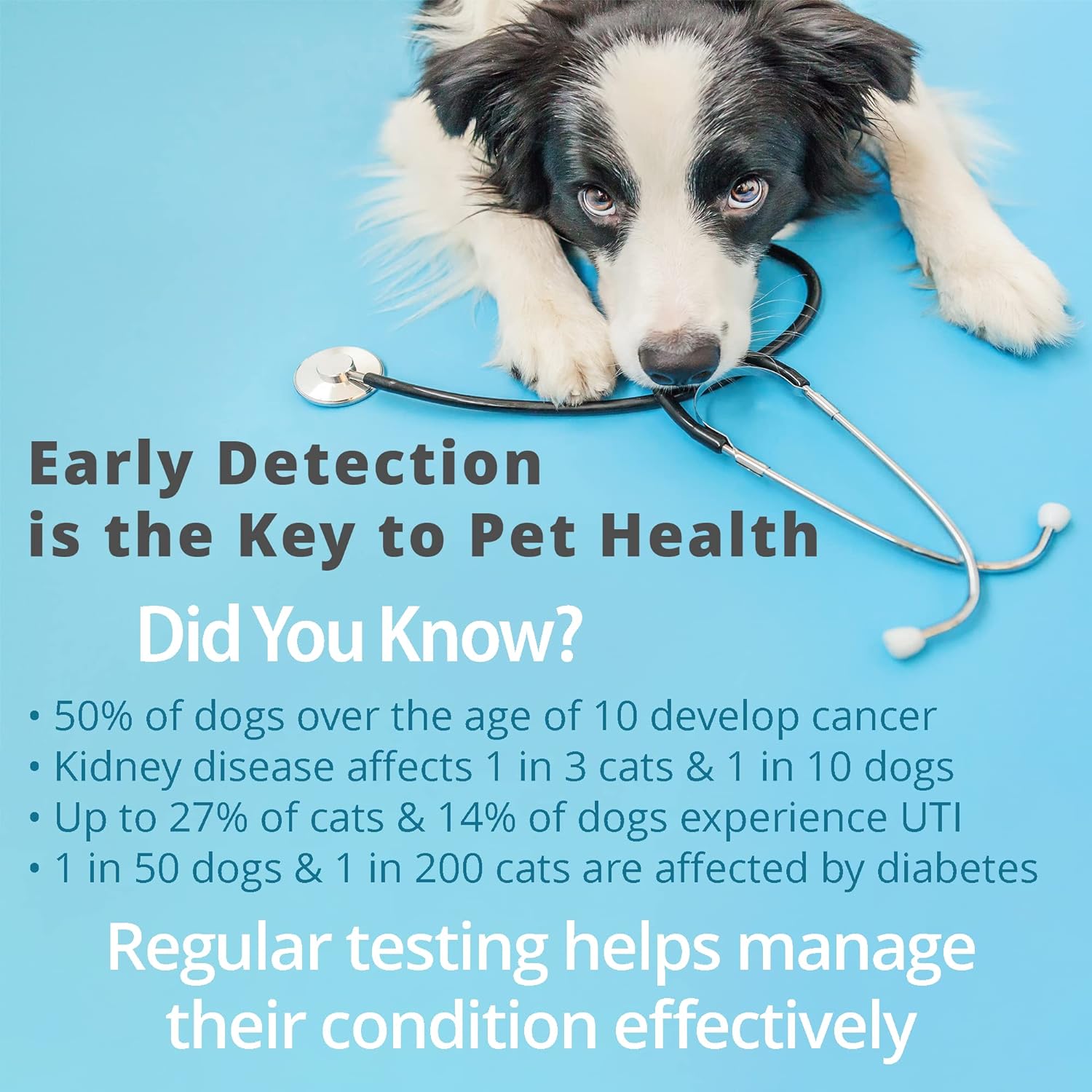 Pet Urine Testing Strips, 100  - Pet Supplies Delivery บทวิจารณ์และราคา