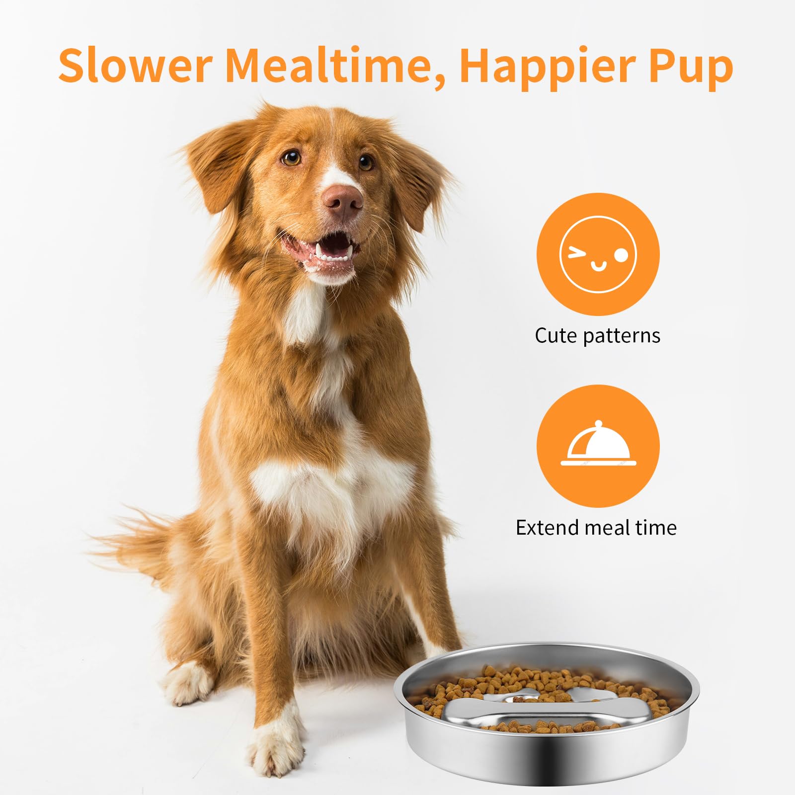 Slow Feeder Dog Bowl, Metal No - Slow Feeder Dog Bowl บทวิจารณ์และราคา