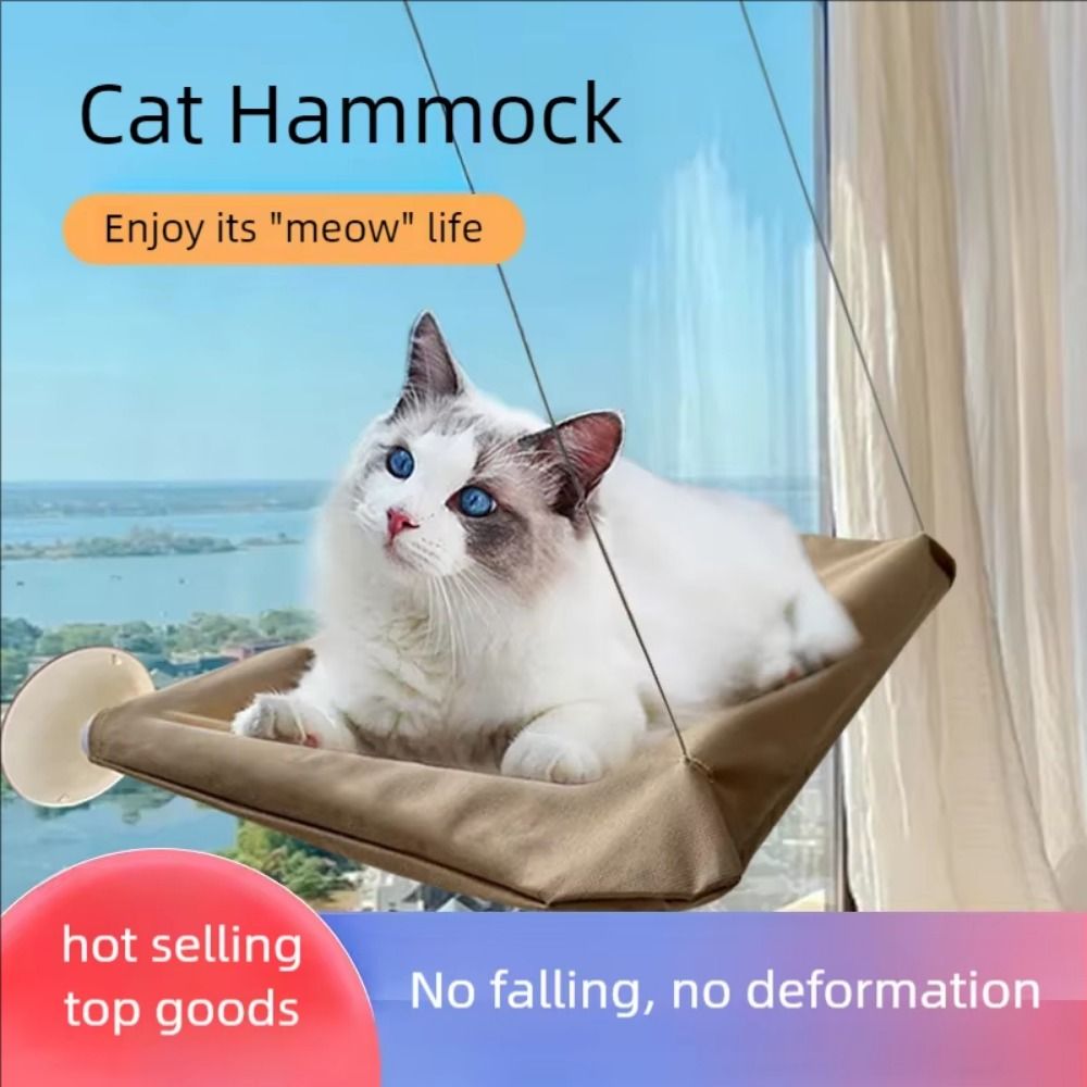 Multifunction Creative Cat Han - Pet Supplies Delivery บทวิจารณ์และราคา
