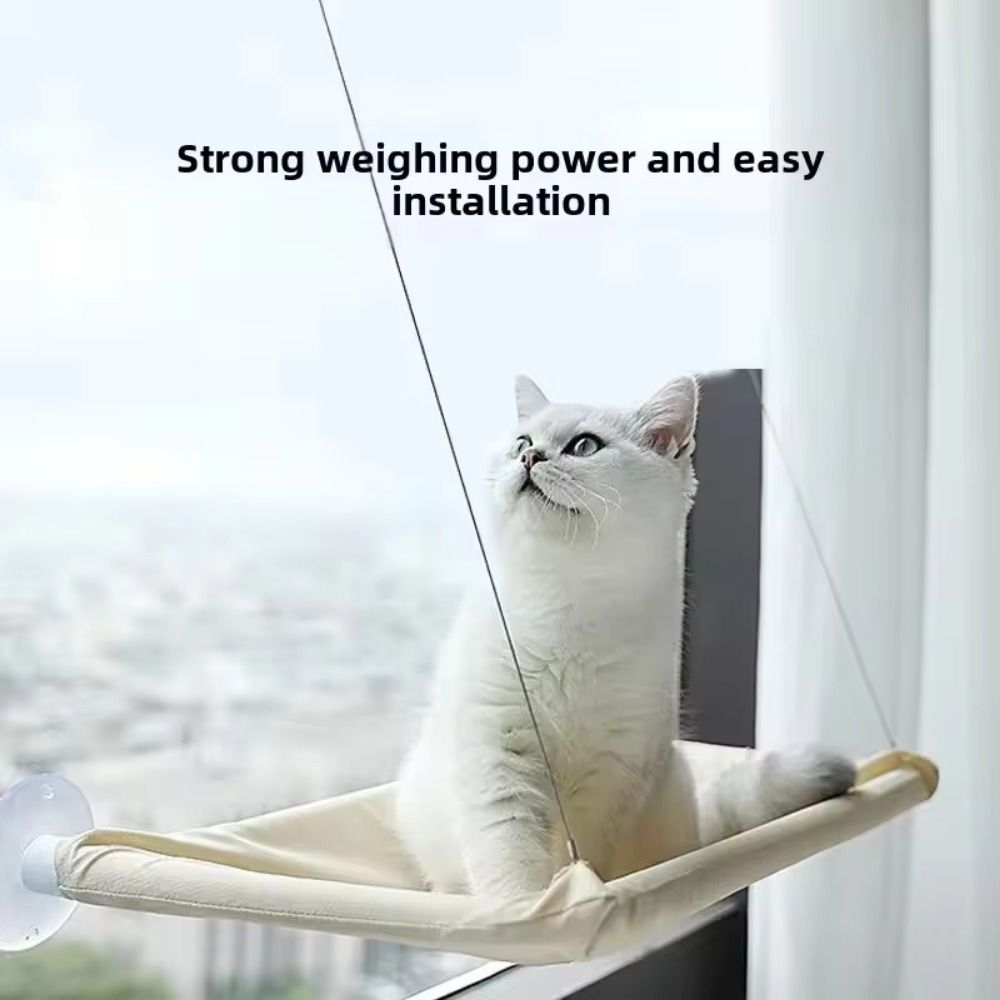 Multifunction Creative Cat Han - Pet Supplies Delivery บทวิจารณ์และราคา