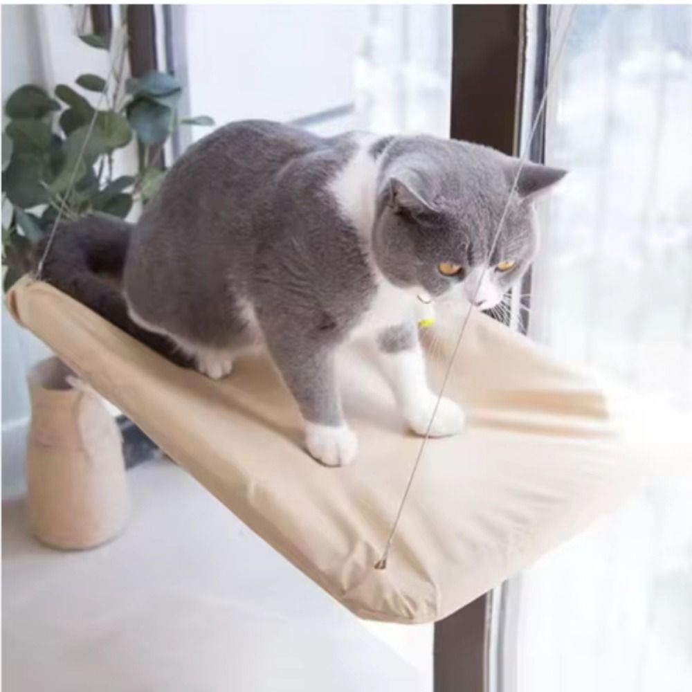 Multifunction Creative Cat Han - Pet Supplies Delivery บทวิจารณ์และราคา