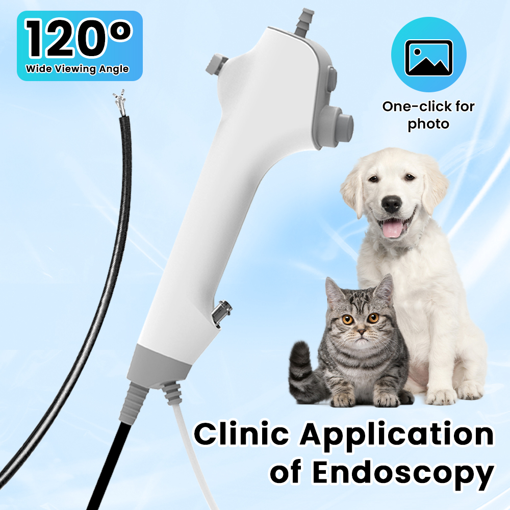 Disposable ENT Veterinary Endo - Pet Supplies Delivery บทวิจารณ์และราคา