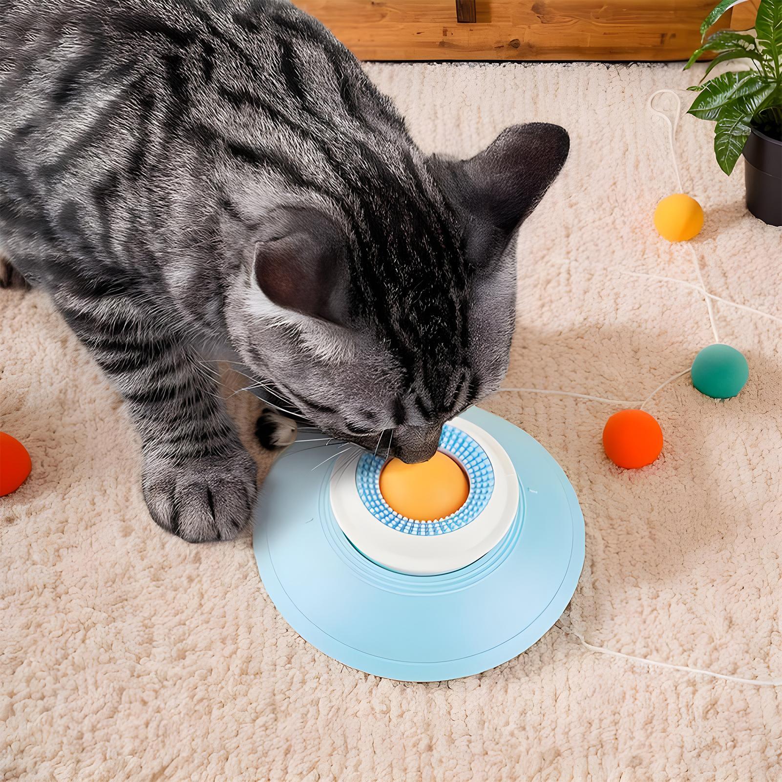 Pet Licking Bowl Dog Slow Feed - Slow Feeder Dog Bowl บทวิจารณ์และราคา