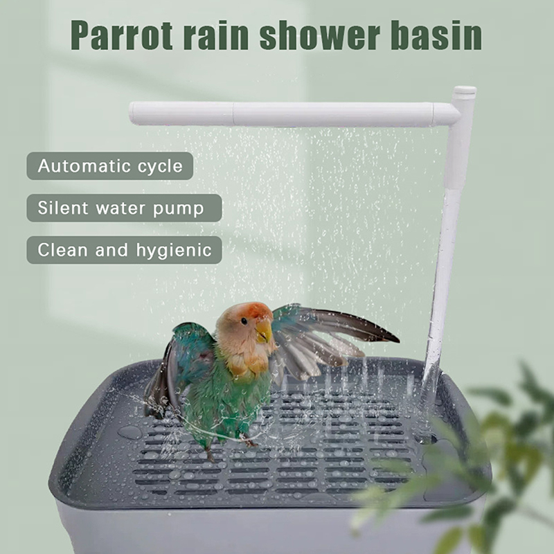 New Sale 2026 Automatic Parrot - Pet Supplies Delivery บทวิจารณ์และราคา