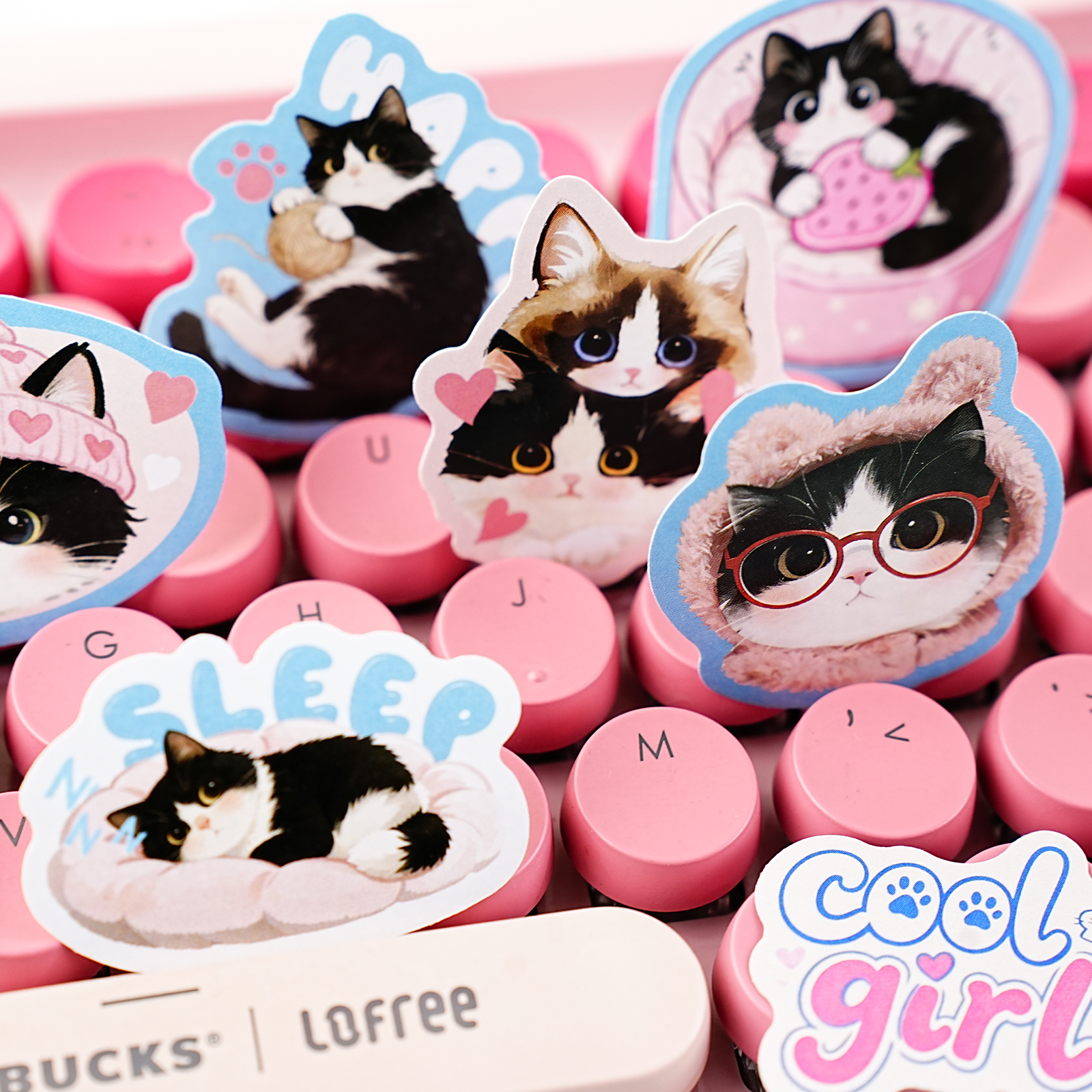 Etori Life Cute Pet Party Set  - Pet Supplies Gift Card บทวิจารณ์และราคา