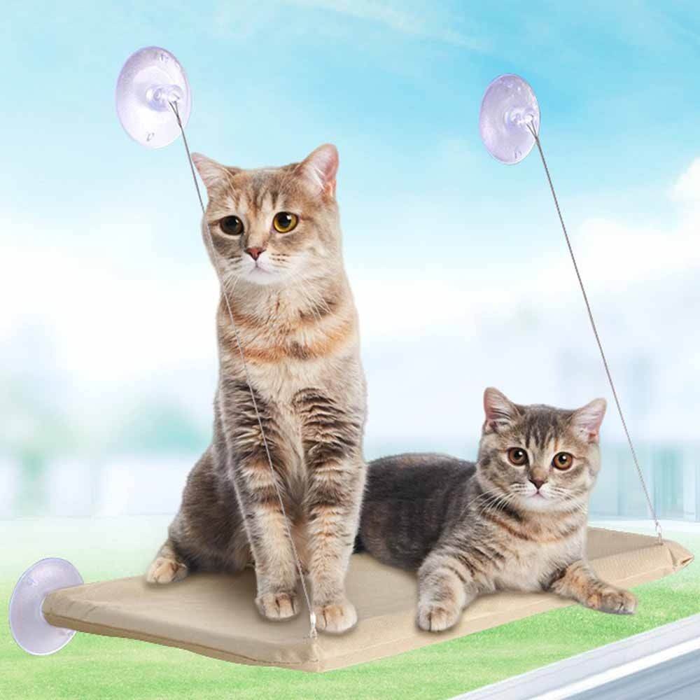 Pet Nest Creative Cat Hanging  - Pet Supplies Delivery บทวิจารณ์และราคา