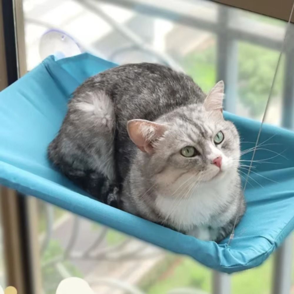 Pet Nest Creative Cat Hanging  - Pet Supplies Delivery บทวิจารณ์และราคา