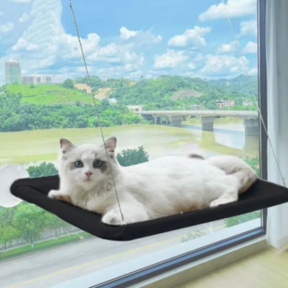 Pet Nest Creative Cat Hanging  - Pet Supplies Delivery บทวิจารณ์และราคา